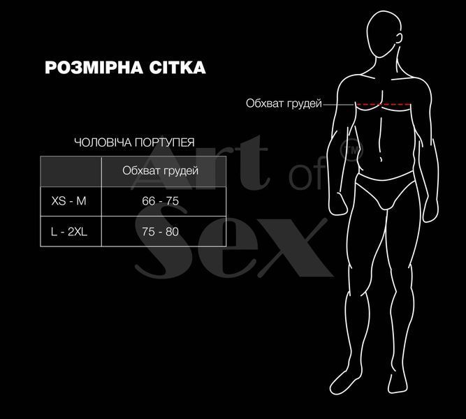 Чоловіча портупея Art of Sex - Spartacus, екошкіра, колір чорний, розмір XS-M SX3401 фото