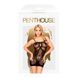 Міні-сукня сітка Penthouse - Above & Beyond Black  SO5228 фото 3