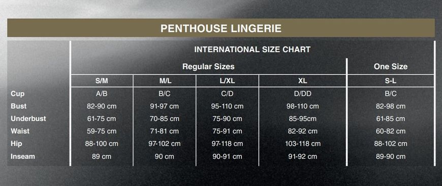 Міні-сукня сітка Penthouse - Above & Beyond Black  SO5228 фото